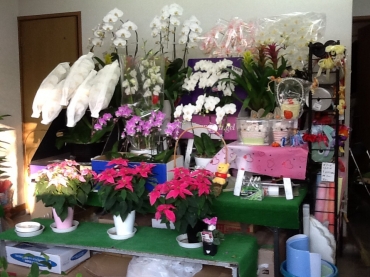 「東武フラワー」　（埼玉県久喜市）の花屋店舗写真3